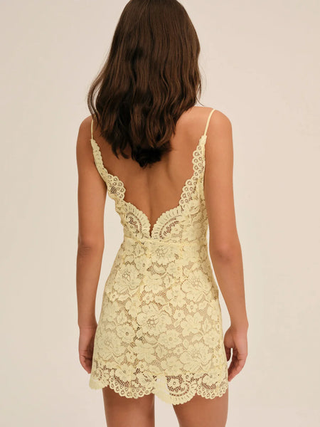 Lakeside Mini Dress