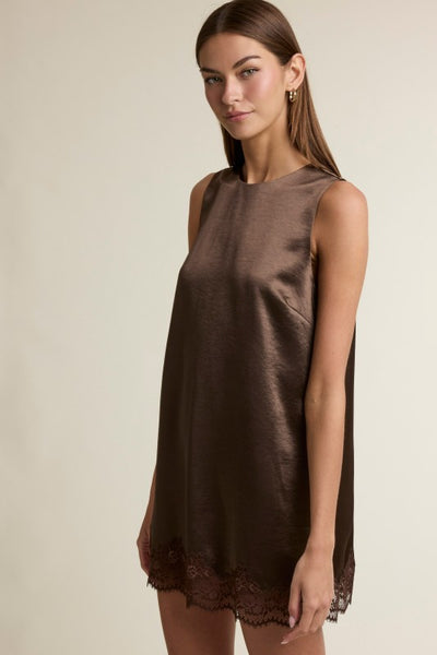 Laney Lace Mini Dress