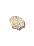 Seashell Claw Hair Clip
