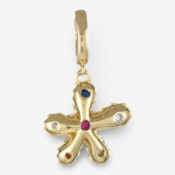 Color Burst Clip Charm