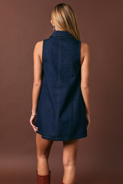 Dakota Denim Mini Dress