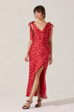 Allexina Dress