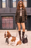 ASTR The Label Wynn Shorts in Brown Plaid