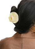 Seashell Claw Hair Clip