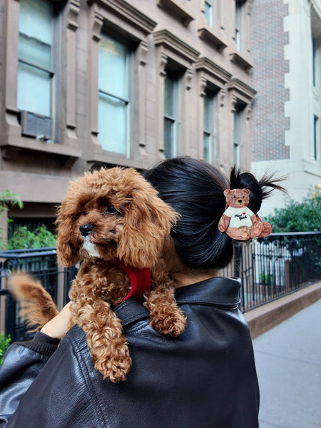 New York Teddy Bear Hair Claw Clip