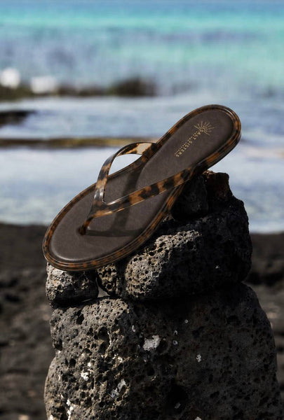 Sunwave Jelly Thong Sandal in tortoise on beach rock