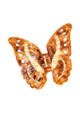 Solar Eclipse Morpho Butterfly Claw Clip