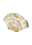 Solar Eclipse Seashell Claw Hair Clip in Golden Sand