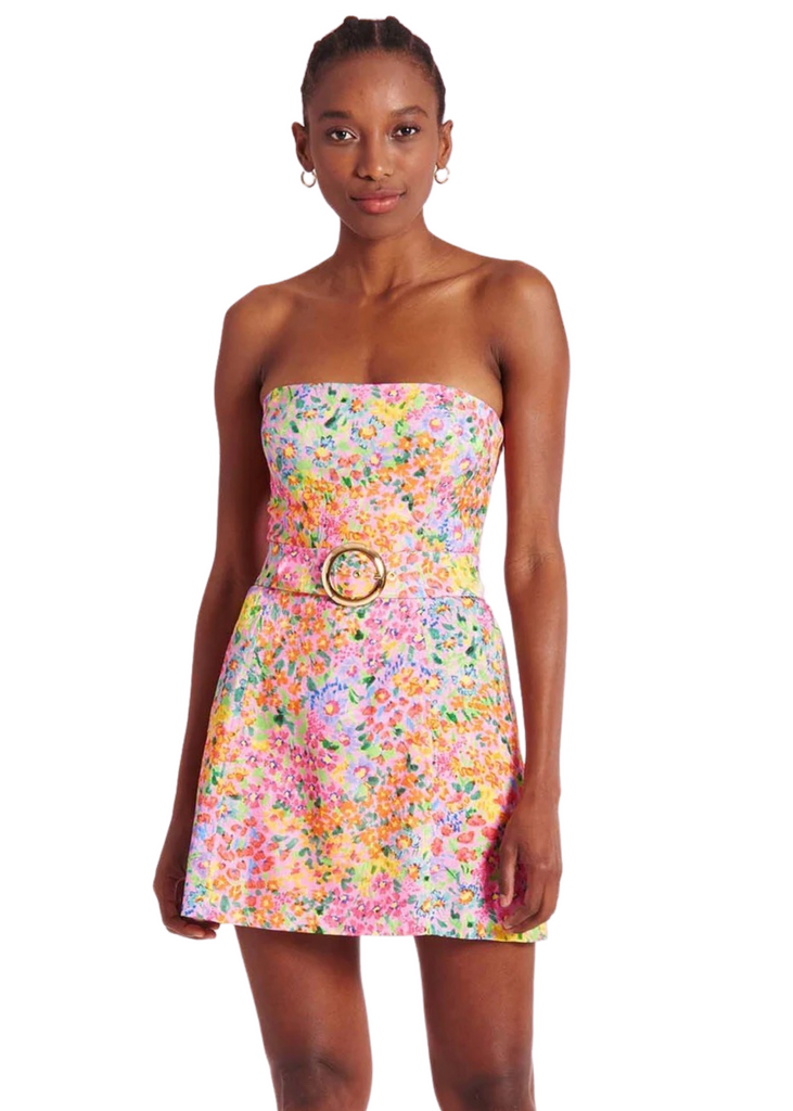 Amanda Uprichard Fae Dress Voyage VIDA MOULIN