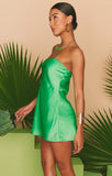 Taylor Tube Mini Dress