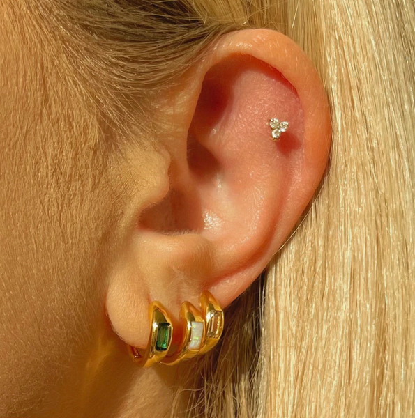 Frankie Hoops