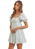 Dixie Mini Dress