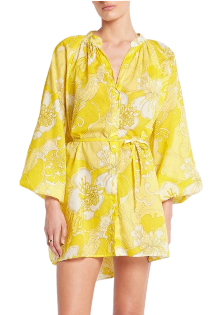 Vida Smock Mini Dress Vida Smock Mini Dress