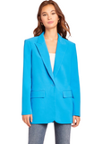 Reggie Blazer