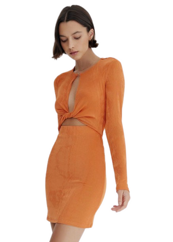 Ivy Mini Dress