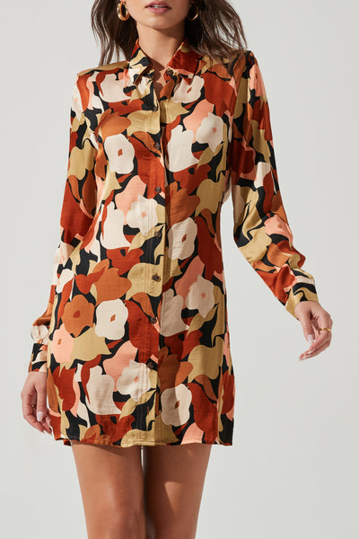 Retro Dress
